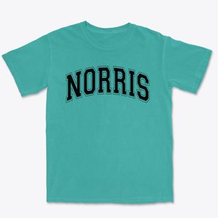 Norris Junior High School Varsity Arch Premium Heavyweight T-shirt