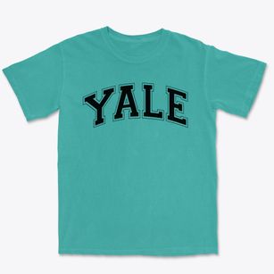 Young Adult Learning Experience Varsity Arch Premium Heavyweight T-shirt