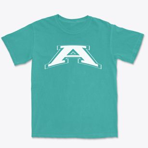 A+ Charter School Varsity Arch Premium Heavyweight T-shirt
