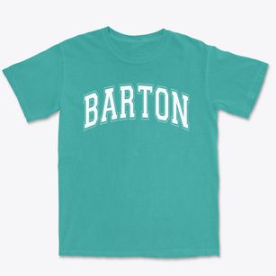 Barton Elementary School Varsity Arch Premium Heavyweight T-shirt