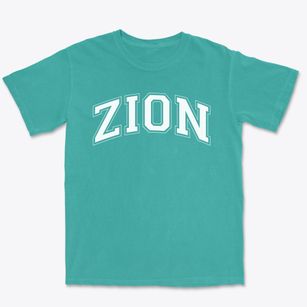 Zion Christian Academy Varsity Arch Premium Heavyweight T-shirt