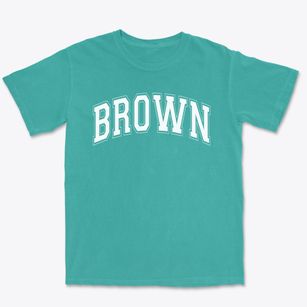 Brown Junior High School Varsity Arch Premium Heavyweight T-shirt