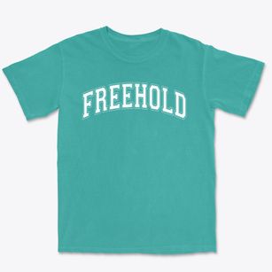 Freehold Intermediate School Varsity Arch Premium Heavyweight T-shirt