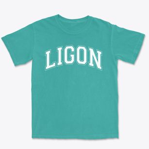 Ligon Middle School Varsity Arch Premium Heavyweight T-shirt