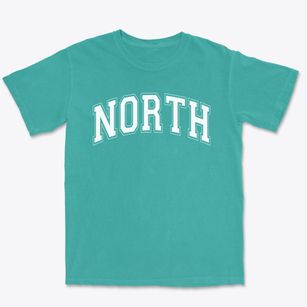 North High School Varsity Arch Premium Heavyweight T-shirt