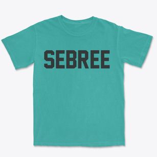 Sebree Kentucky Classic Block Premium Heavyweight T-shirt