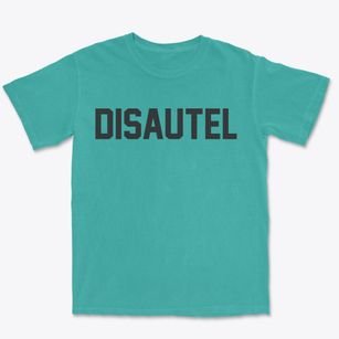 Disautel Washington Classic Block Premium Heavyweight T-shirt