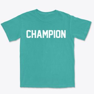 Champion New York Classic Block Premium Heavyweight T-shirt