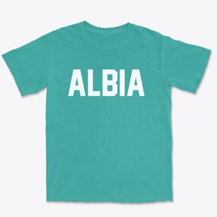 Albia Iowa Classic Block Premium Heavyweight T-shirt