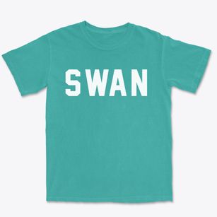 Swan Iowa Classic Block Premium Heavyweight T-shirt