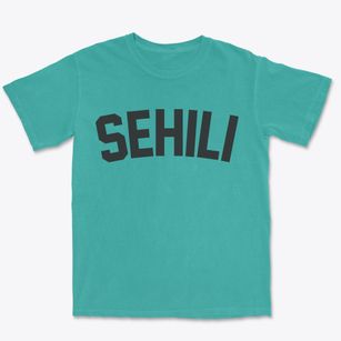 Sehili Arizona Classic Curve Premium Heavyweight T-shirt