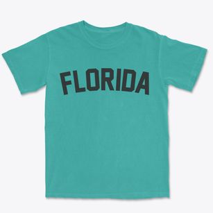 Florida Missouri Classic Curve Premium Heavyweight T-shirt