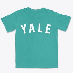 Yale Michigan Classic Curve Premium Heavyweight T-shirt