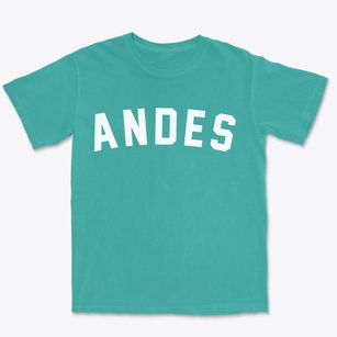 Andes New York Classic Curve Premium Heavyweight T-shirt