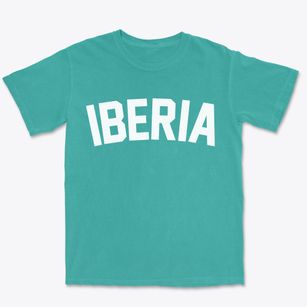 Iberia Ohio Classic Curve Premium Heavyweight T-shirt