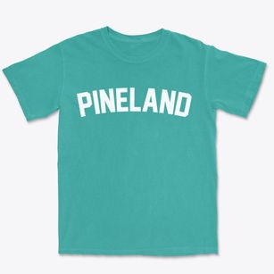 Pineland Florida Classic Curve Premium Heavyweight T-shirt