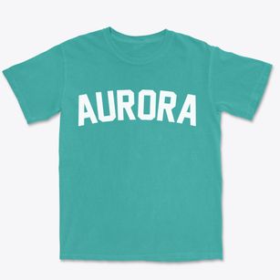 Aurora New York Classic Curve Premium Heavyweight T-shirt