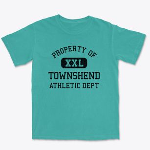 Townshend Vermont Athletic Dept Premium Heavyweight T-shirt