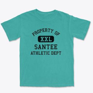 Santee South Carolina Athletic Dept Premium Heavyweight T-shirt
