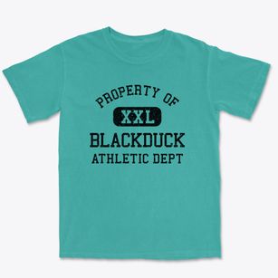 Blackduck Minnesota Athletic Dept Premium Heavyweight T-shirt