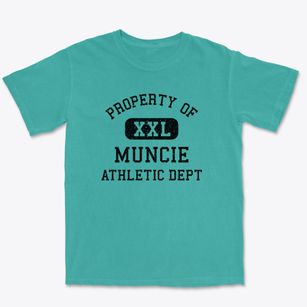 Muncie Illinois Athletic Dept Premium Heavyweight T-shirt