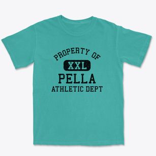 Pella Iowa Athletic Dept Premium Heavyweight T-shirt