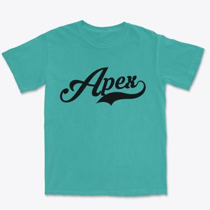 Apex North Carolina Vintage Team Premium Heavyweight T-shirt