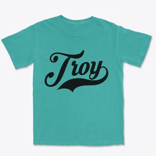 Troy North Carolina Vintage Team Premium Heavyweight T-shirt
