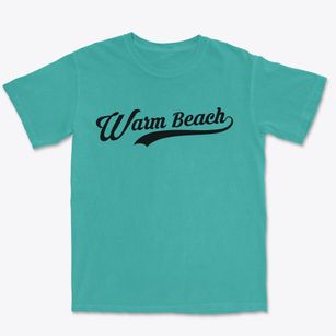 Warm Beach Washington Vintage Team Premium Heavyweight T-shirt