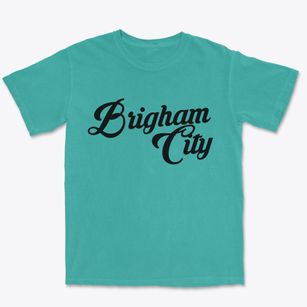 Brigham City Utah Vintage Team Premium Heavyweight T-shirt