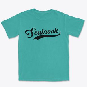 Seabrook Maryland Vintage Team Premium Heavyweight T-shirt