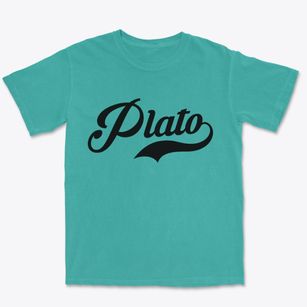 Plato Missouri Vintage Team Premium Heavyweight T-shirt