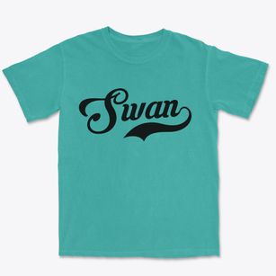 Swan Iowa Vintage Team Premium Heavyweight T-shirt