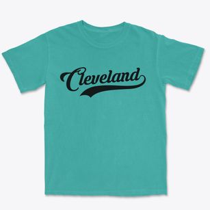 Cleveland Texas Vintage Team Premium Heavyweight T-shirt