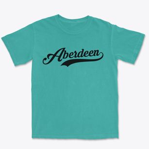 Aberdeen North Carolina Vintage Team Premium Heavyweight T-shirt