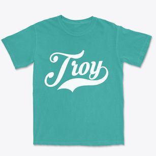 Troy New York Vintage Team Premium Heavyweight T-shirt