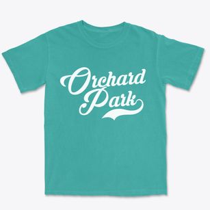 Orchard Park New York Vintage Team Premium Heavyweight T-shirt