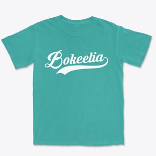 Bokeelia Florida Vintage Team Premium Heavyweight T-shirt