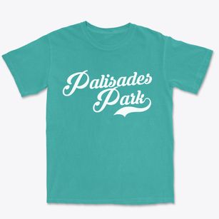 Palisades Park New Jersey Vintage Team Premium Heavyweight T-shirt