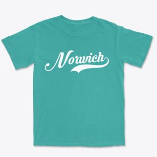 Norwich Ohio Vintage Team Premium Heavyweight T-shirt