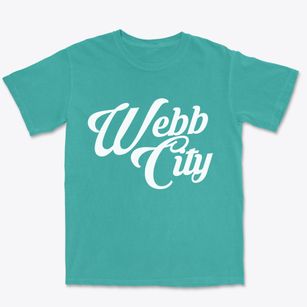 Webb City Missouri Vintage Team Premium Heavyweight T-shirt