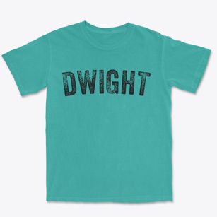 Dwight Illinois Timeless Retro Premium Heavyweight T-shirt