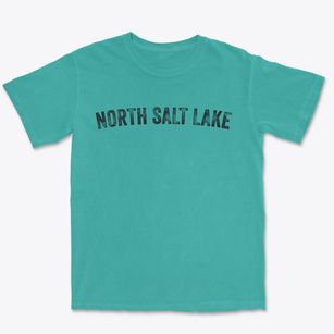 North Salt Lake Utah Timeless Retro Premium Heavyweight T-shirt