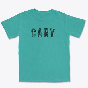 Cary Wisconsin Timeless Retro Premium Heavyweight T-shirt