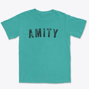 Amity Missouri Timeless Retro Premium Heavyweight T-shirt