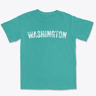 Washington Pennsylvania Timeless Retro Premium Heavyweight T-shirt