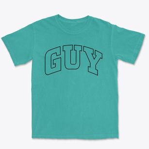 Guy Arkansas Trendy Block Premium Heavyweight T-shirt