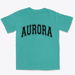 Aurora Illinois Varsity Premium Heavyweight T-shirt