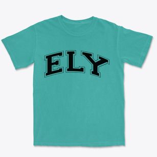 Ely Nevada Varsity Premium Heavyweight T-shirt