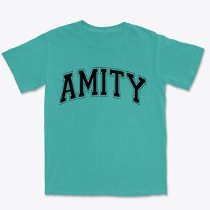 Amity New York Varsity Premium Heavyweight T-shirt